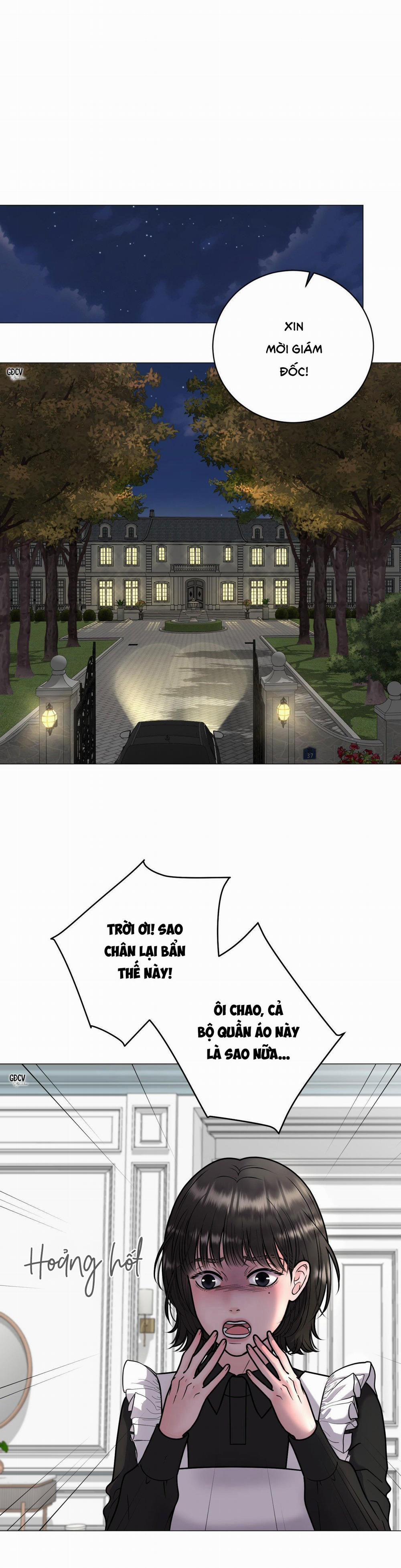 Ảo Ảnh 2 trang 0