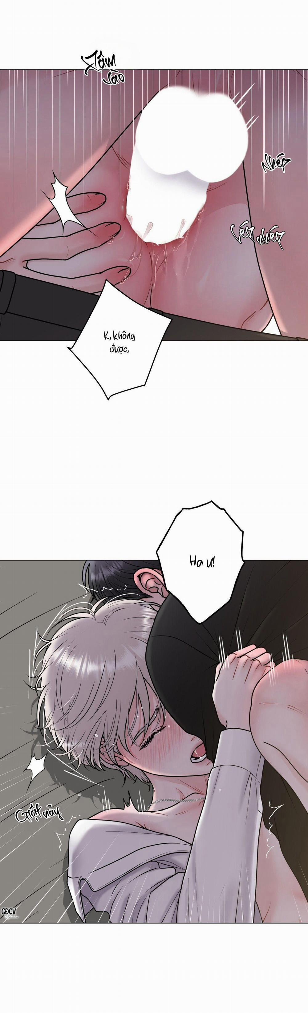 Ảo Ảnh 22 0 trang 8