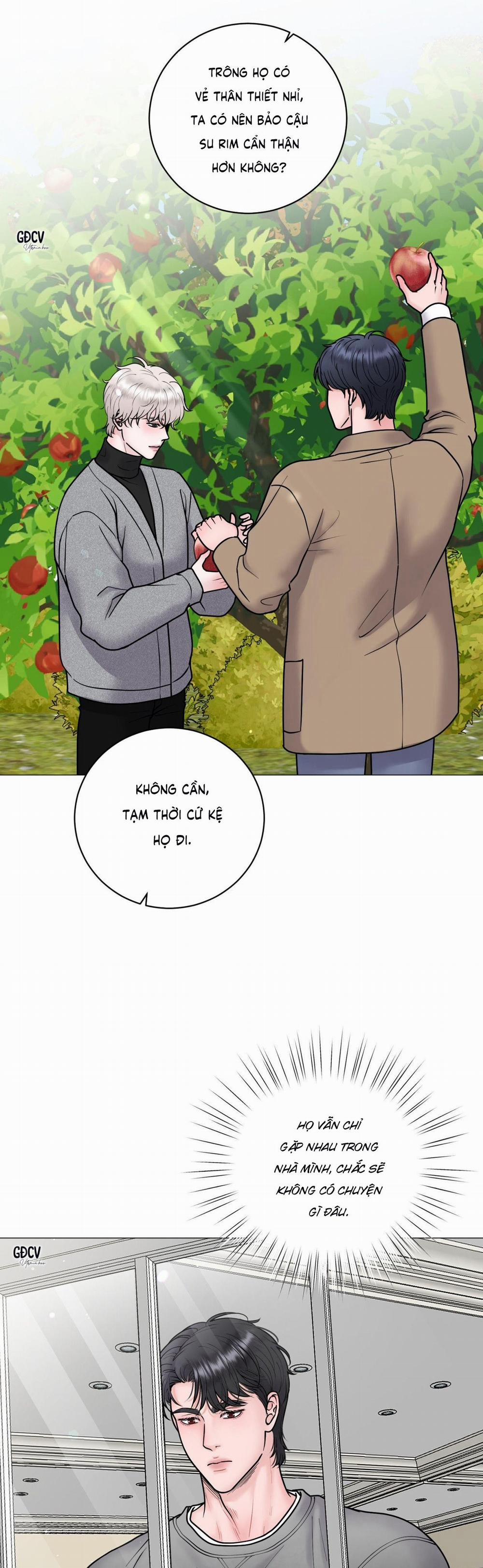 Ảo Ảnh 24 trang 11