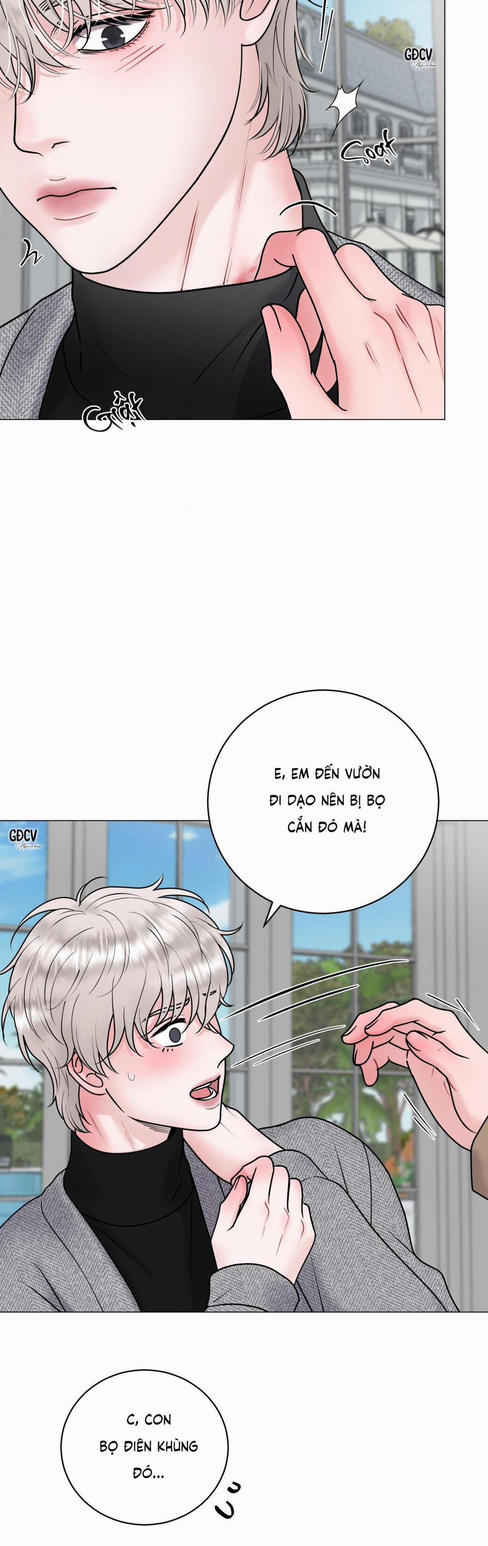 Ảo Ảnh 24 trang 6