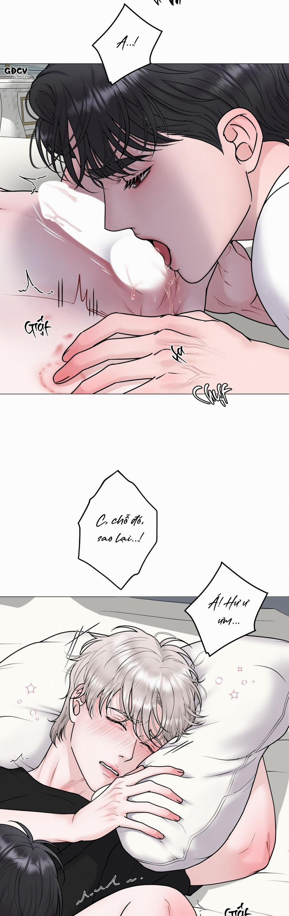 Ảo Ảnh 29 trang 2