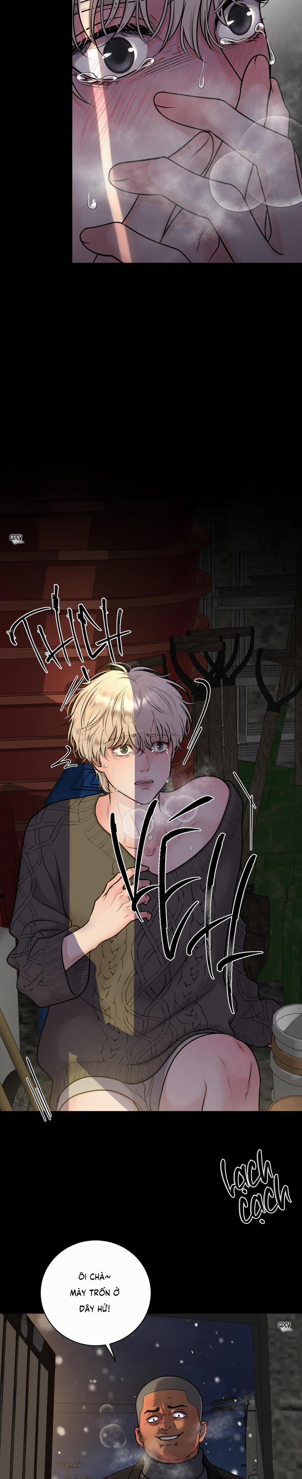 Ảo Ảnh 5 trang 4