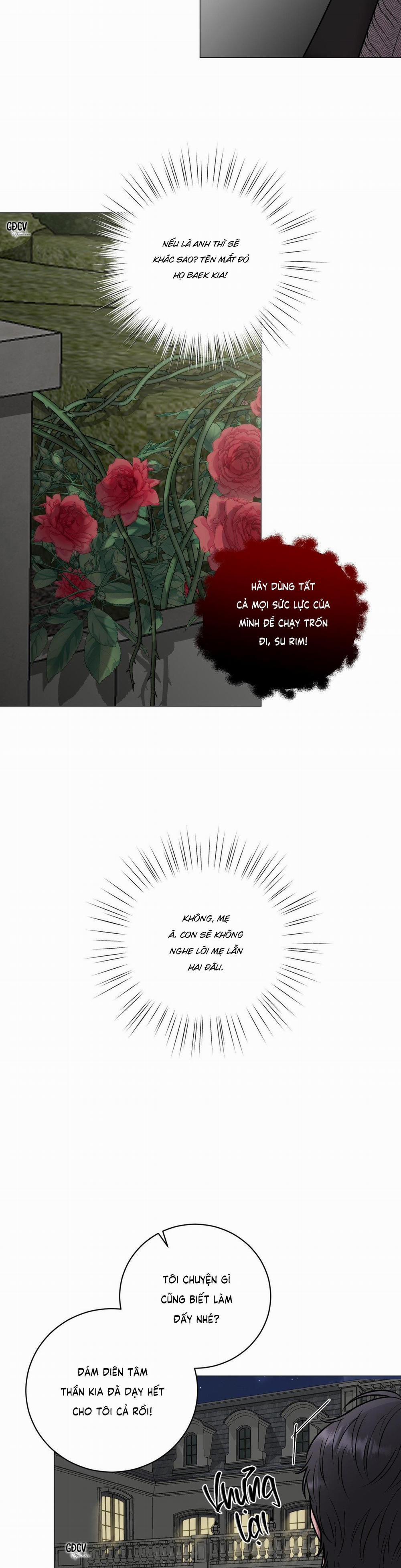 Ảo Ảnh 7 trang 5