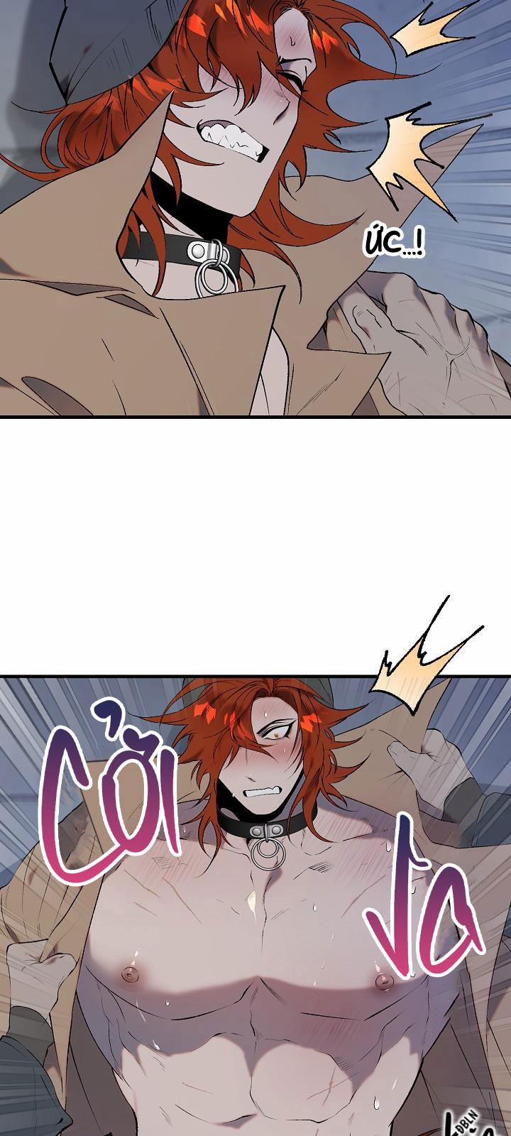 Ba Anh Em Heo Con 9 trang 8