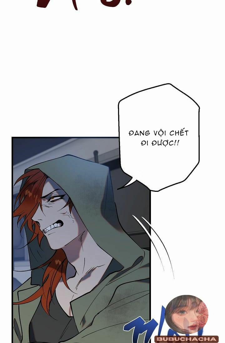 Ba Anh Em Nhà Heo 1 trang 13