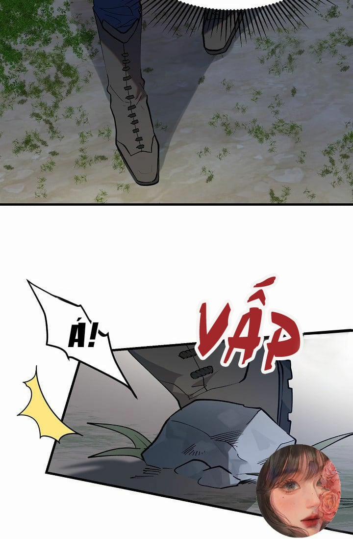 Ba Anh Em Nhà Heo 1 trang 19