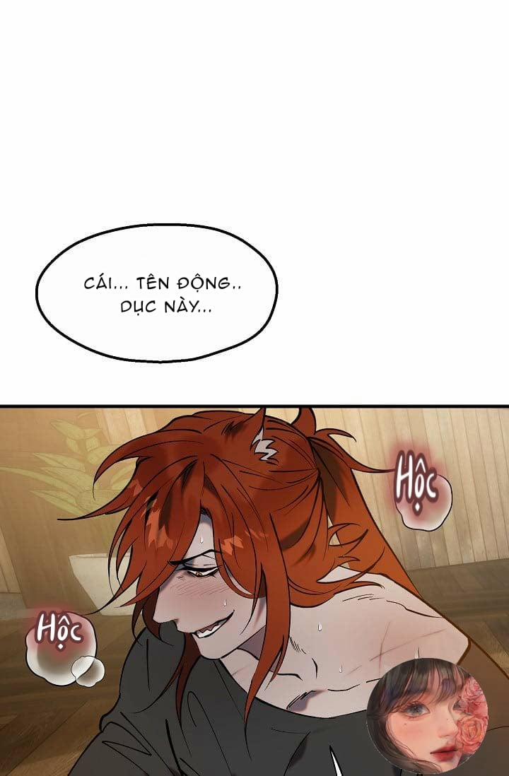 Ba Anh Em Nhà Heo 2 trang 7