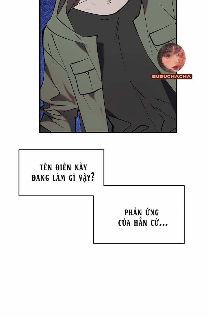 Ba Anh Em Nhà Heo 4 trang 2