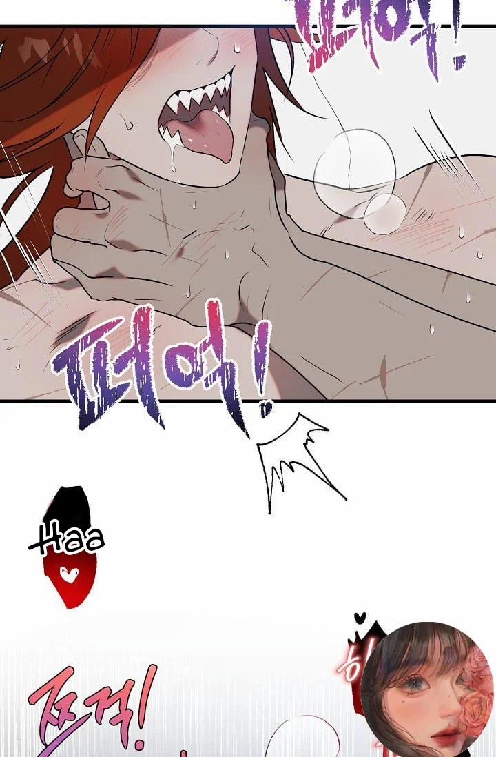 Ba Anh Em Nhà Heo 8 trang 2