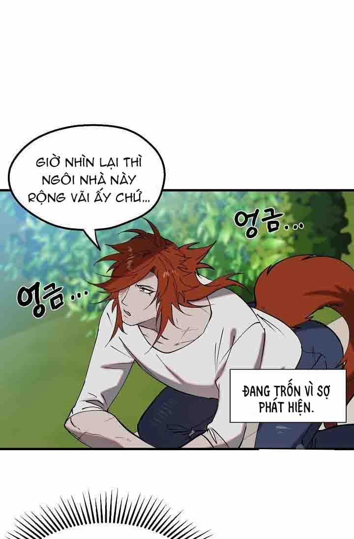 Ba Anh Em Nhà Heo 8 trang 20