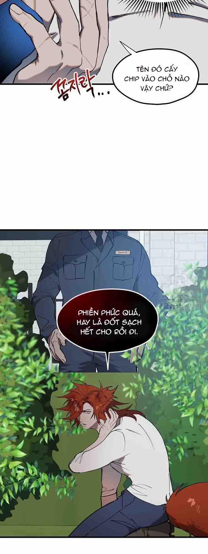 Ba Anh Em Nhà Heo 8 trang 24