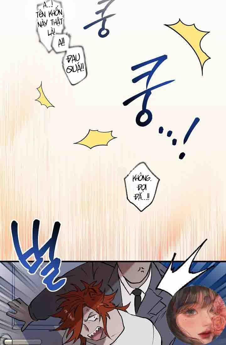 Ba Anh Em Nhà Heo 8 trang 26