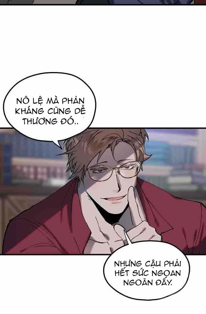 Ba Anh Em Nhà Heo 8 trang 35