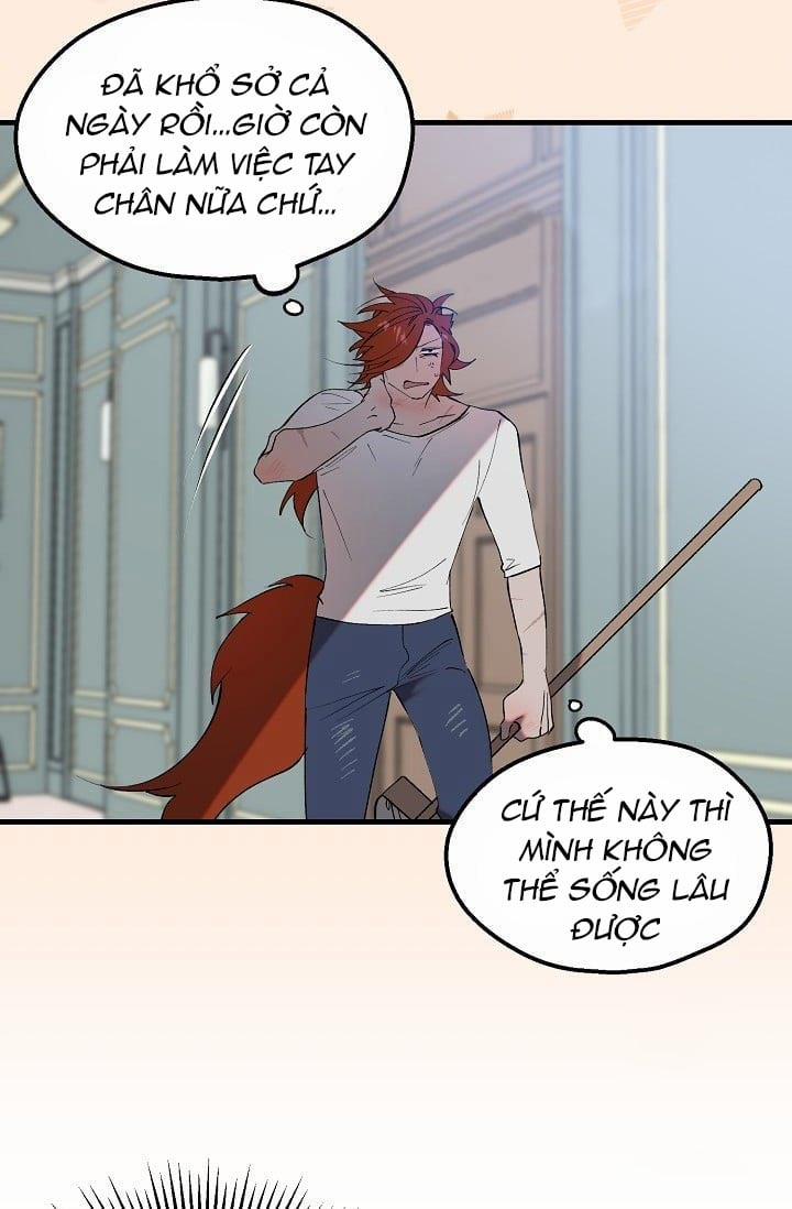 Ba Anh Em Nhà Heo 8 trang 8