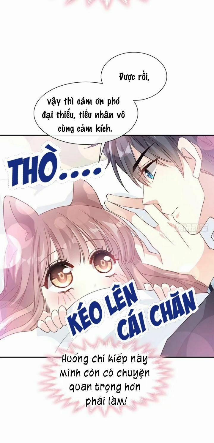 Bá Đạo Tổng Tài Nhẹ Nhàng Yêu 16 trang 13