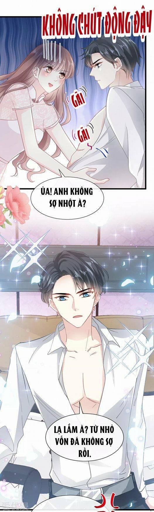 Bá Đạo Tổng Tài Nhẹ Nhàng Yêu 49 trang 3