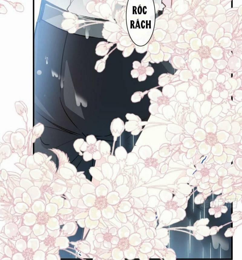 Bá Đạo Tổng Tài Nhẹ Nhàng Yêu 51 trang 11