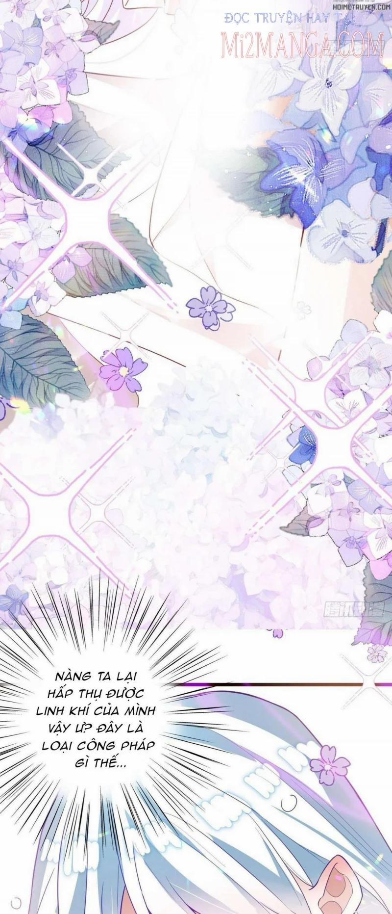 Ba Ngàn Sủng Của Hải Vương Nãi Nãi 10.5 trang 0