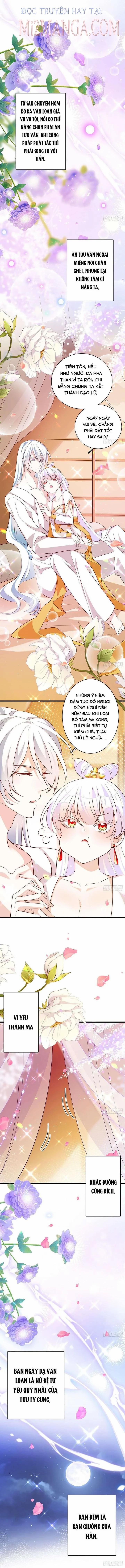 Ba Ngàn Sủng Của Hải Vương Nãi Nãi 12.5 trang 0