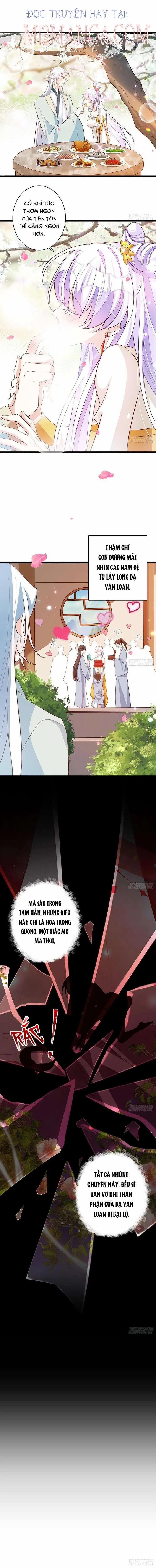 Ba Ngàn Sủng Của Hải Vương Nãi Nãi 12.5 trang 3