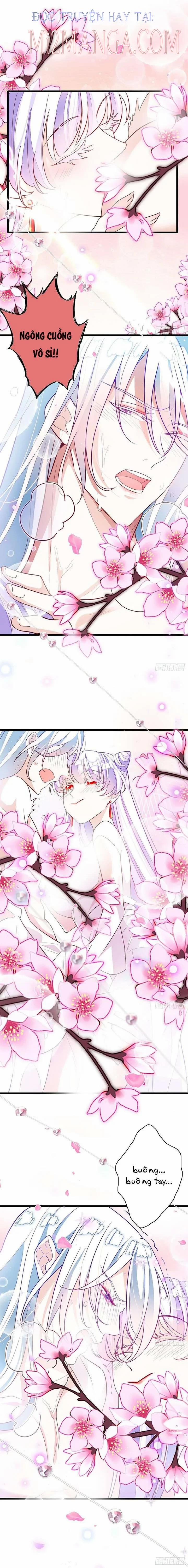 Ba Ngàn Sủng Của Hải Vương Nãi Nãi 12 trang 2