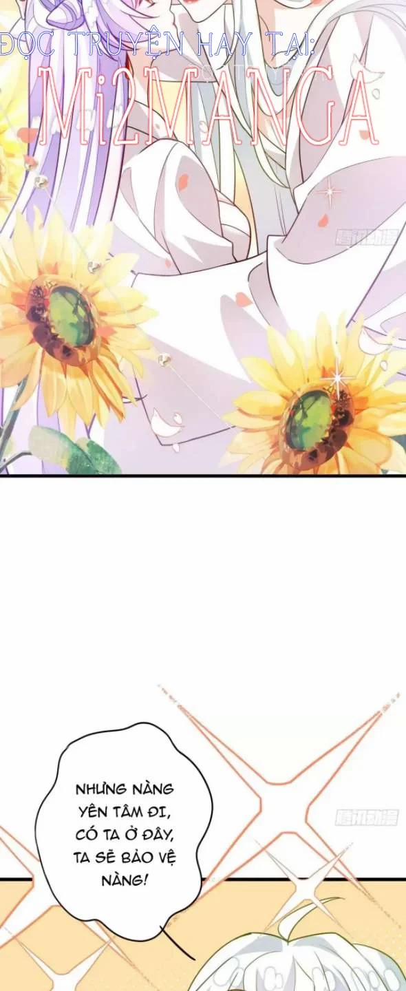 Ba Ngàn Sủng Của Hải Vương Nãi Nãi 15.5 trang 5