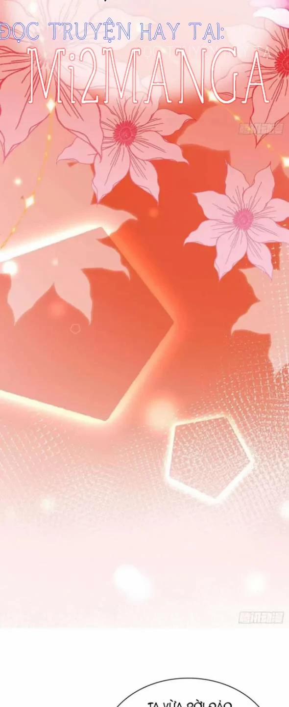 Ba Ngàn Sủng Của Hải Vương Nãi Nãi 15 trang 9