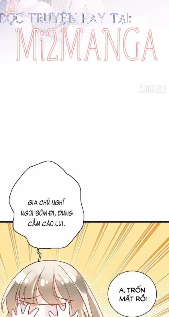 Ba Ngàn Sủng Của Hải Vương Nãi Nãi 16.5 trang 11