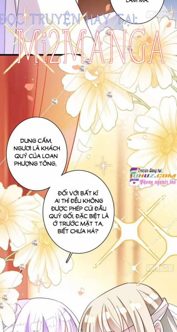 Ba Ngàn Sủng Của Hải Vương Nãi Nãi 16.5 trang 3