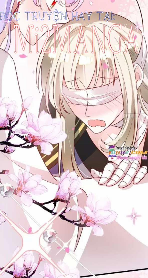 Ba Ngàn Sủng Của Hải Vương Nãi Nãi 16.5 trang 8