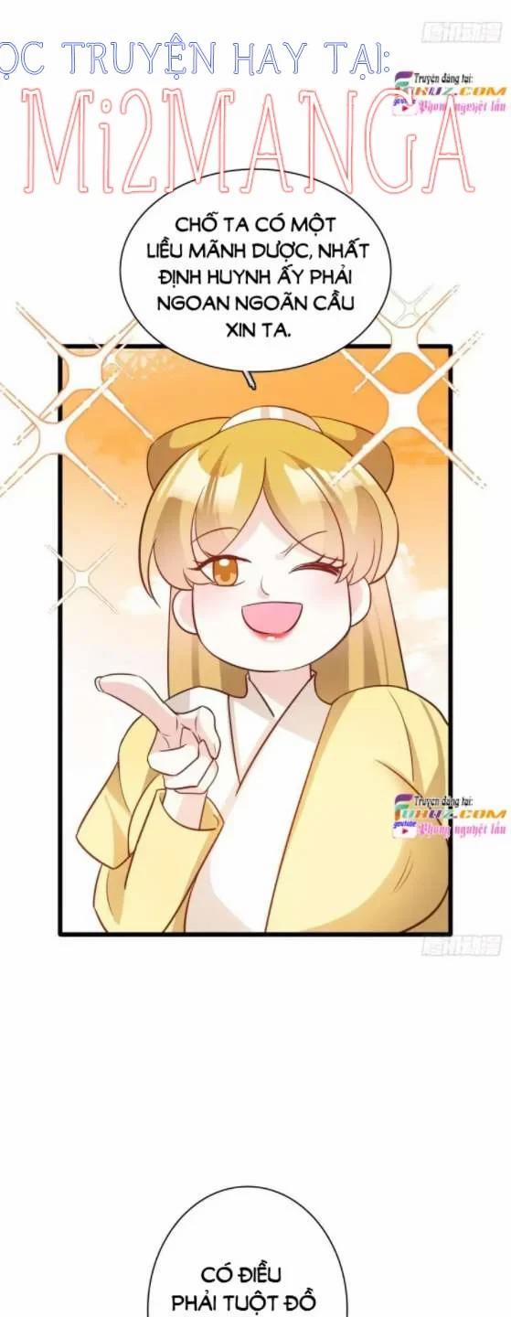 Ba Ngàn Sủng Của Hải Vương Nãi Nãi 17.5 trang 0