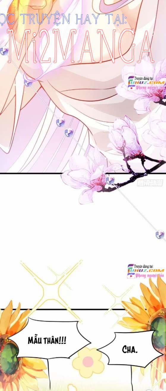 Ba Ngàn Sủng Của Hải Vương Nãi Nãi 17.5 trang 14