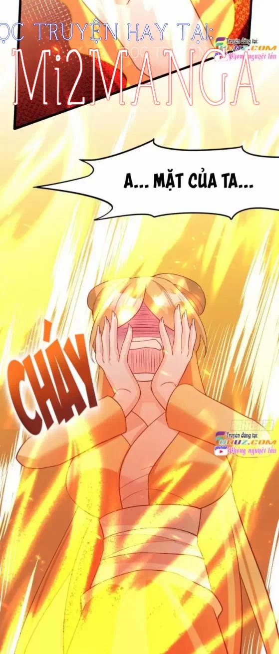 Ba Ngàn Sủng Của Hải Vương Nãi Nãi 17.5 trang 3