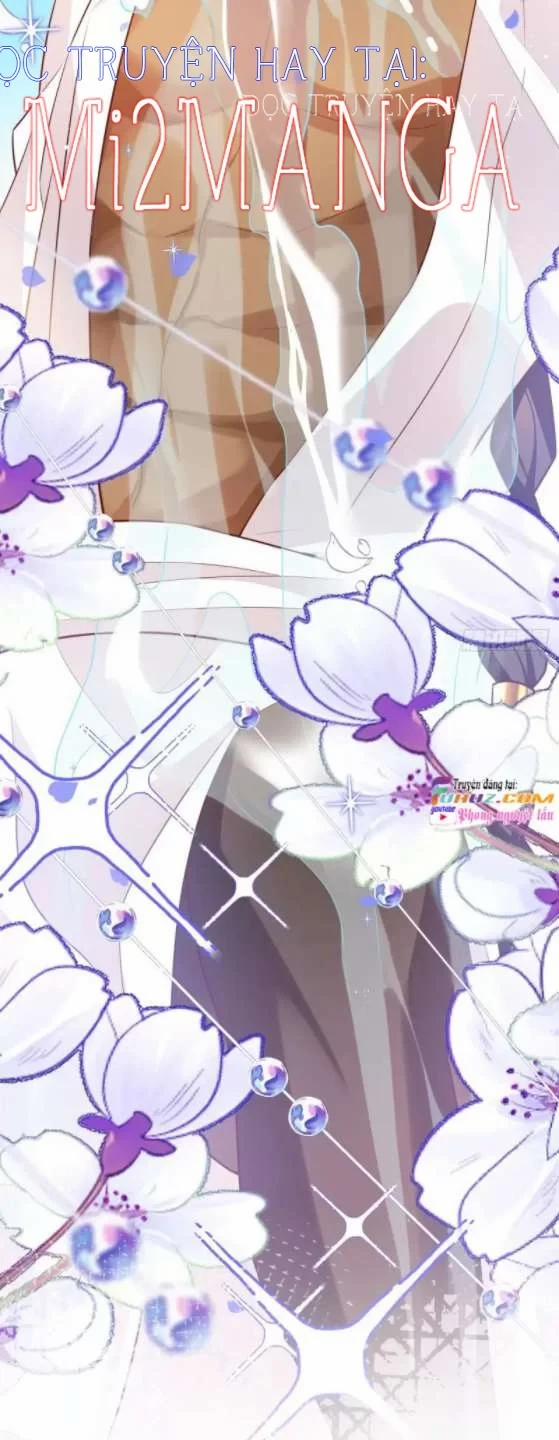 Ba Ngàn Sủng Của Hải Vương Nãi Nãi 17 trang 13