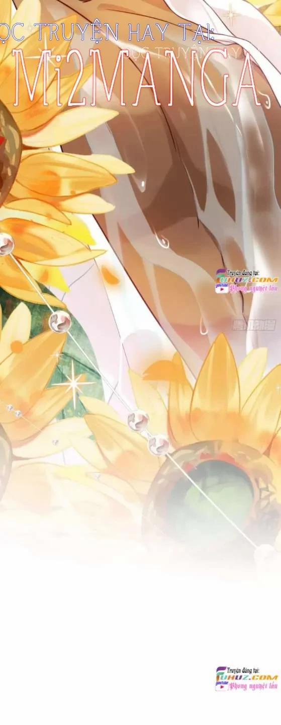 Ba Ngàn Sủng Của Hải Vương Nãi Nãi 17 trang 17