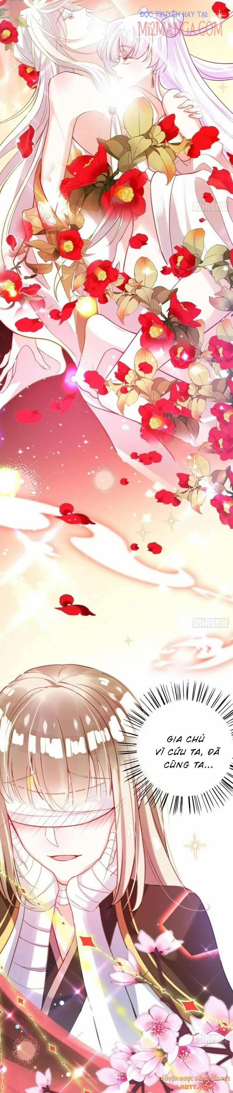 Ba Ngàn Sủng Của Hải Vương Nãi Nãi 2 trang 8