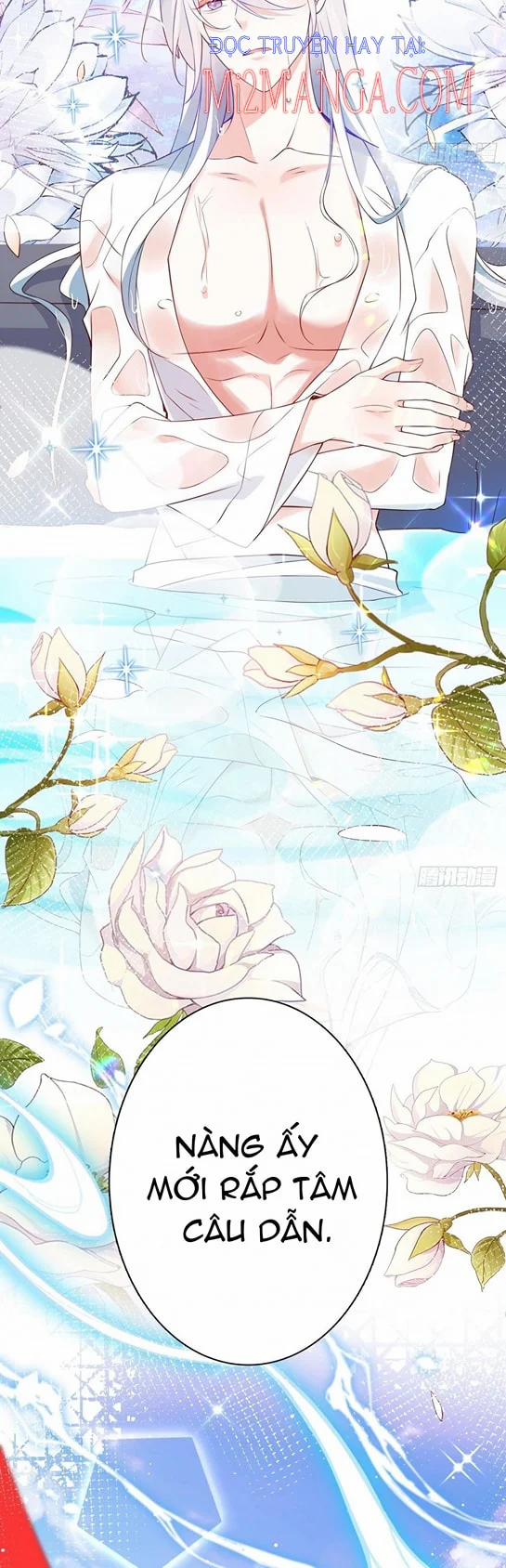 Ba Ngàn Sủng Của Hải Vương Nãi Nãi 6.5 trang 13