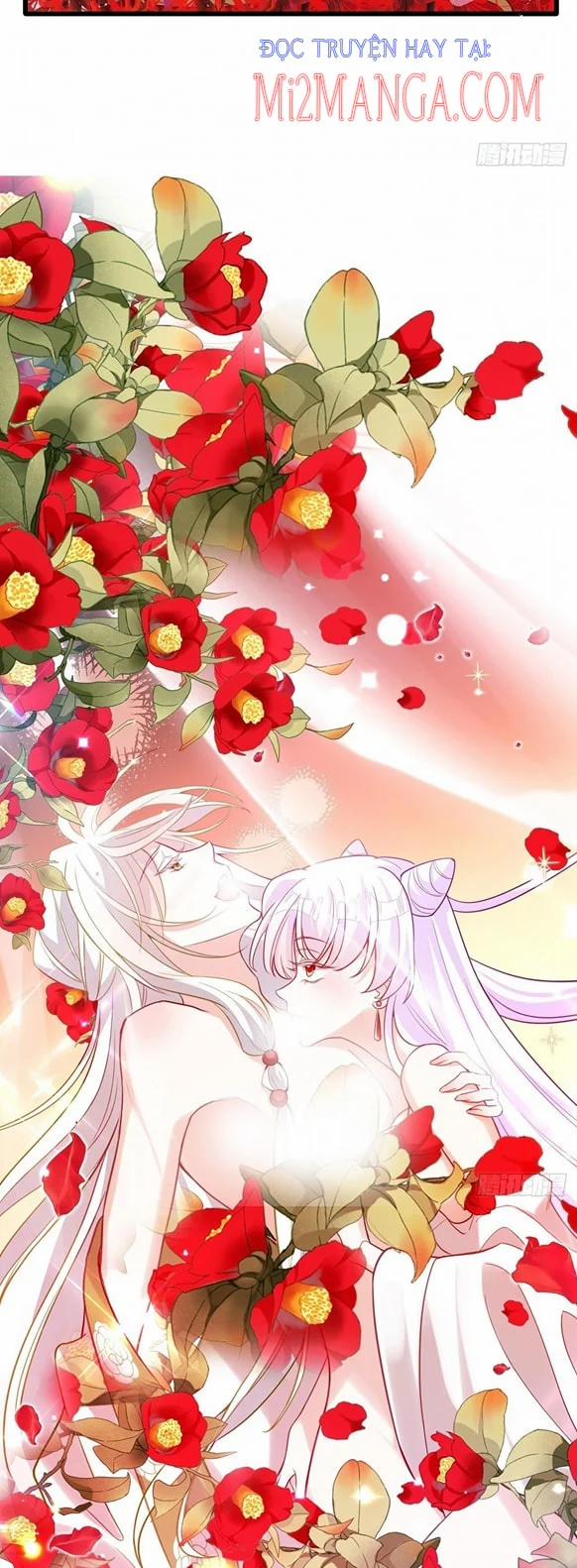 Ba Ngàn Sủng Của Hải Vương Nãi Nãi 6 trang 12