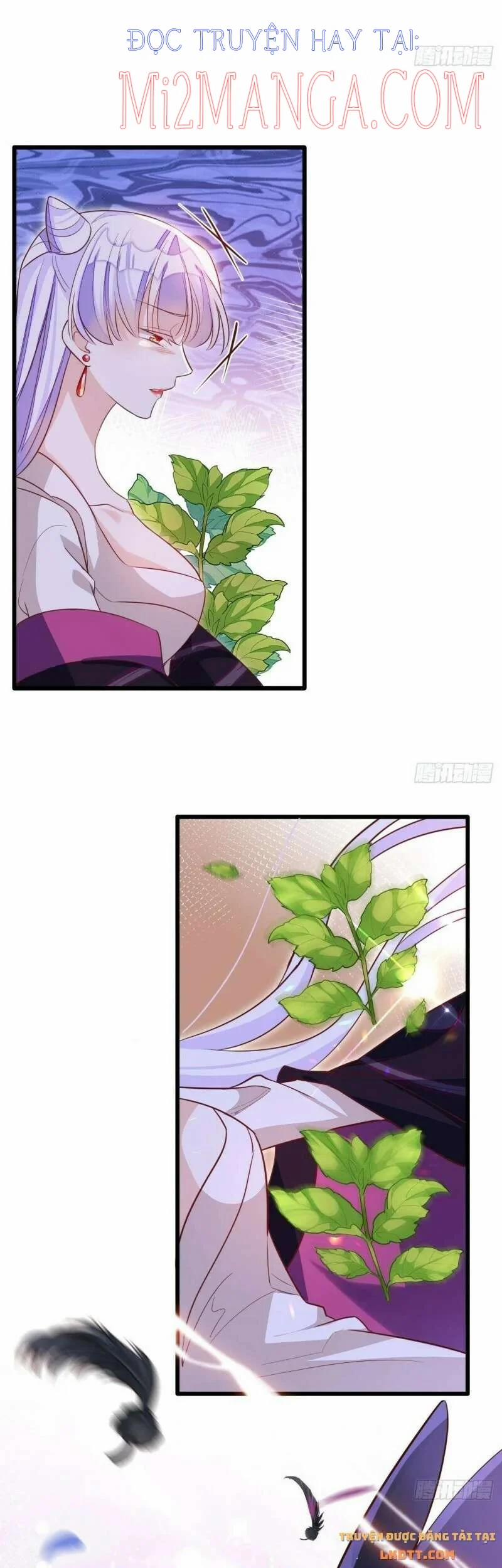 Ba Ngàn Sủng Của Hải Vương Nãi Nãi 7.5 trang 12