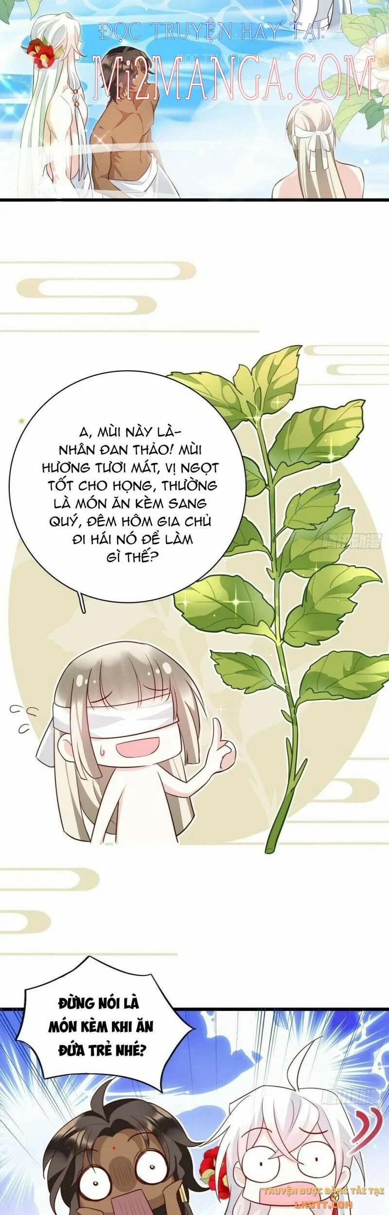 Ba Ngàn Sủng Của Hải Vương Nãi Nãi 7.5 trang 7