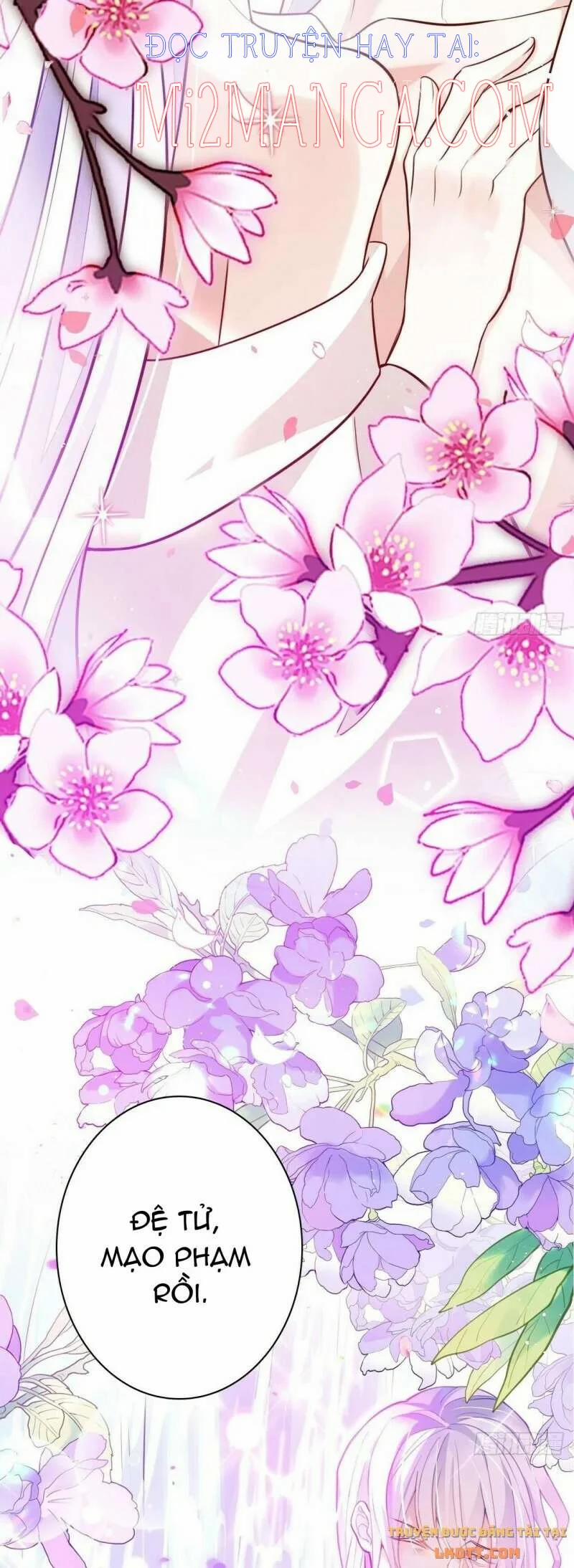 Ba Ngàn Sủng Của Hải Vương Nãi Nãi 7 trang 7