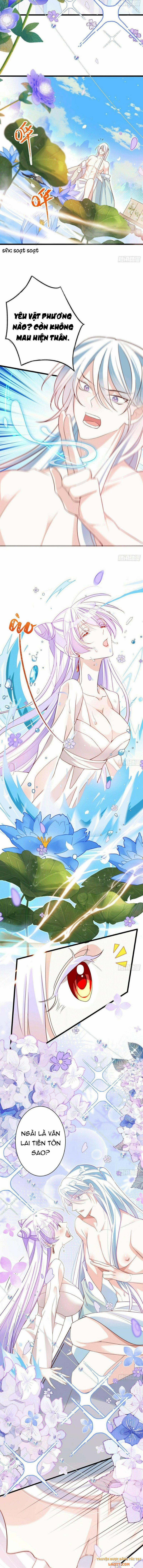 Ba Ngàn Sủng Của Hải Vương Nãi Nãi 9.5 trang 2