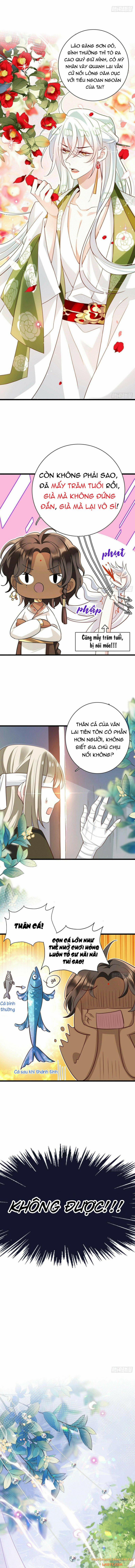 Ba Ngàn Sủng Của Hải Vương Nãi Nãi 9 trang 2