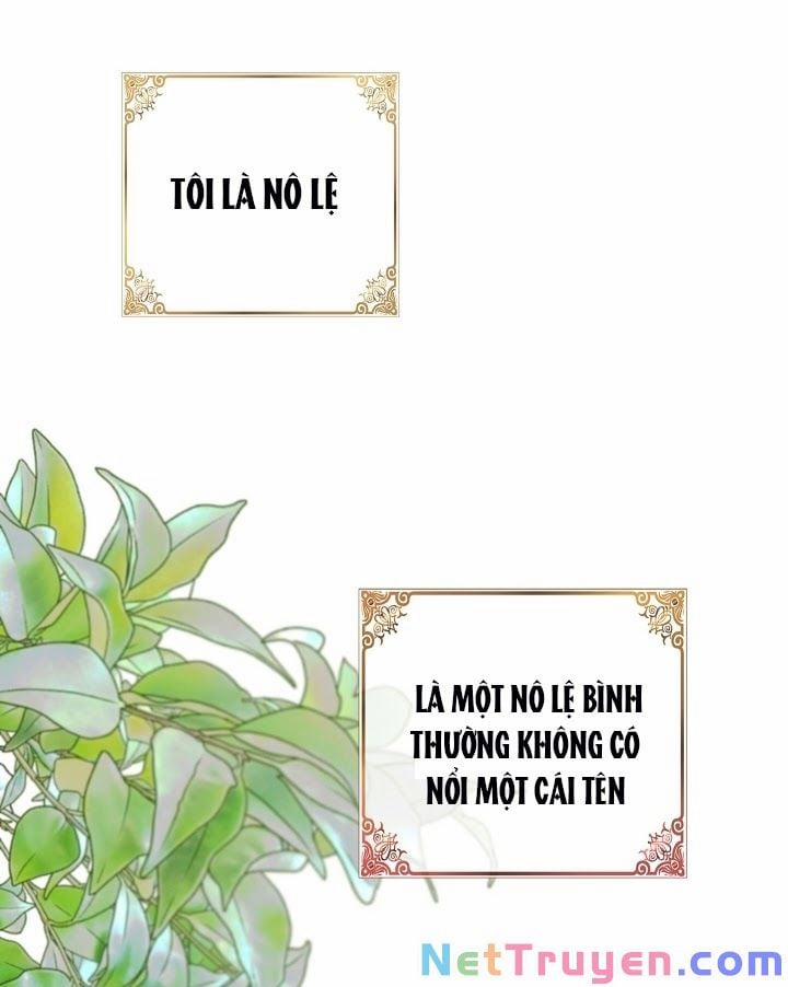 Ba Người Anh Trai Của Tôi Là Bạo Quân 1 trang 1