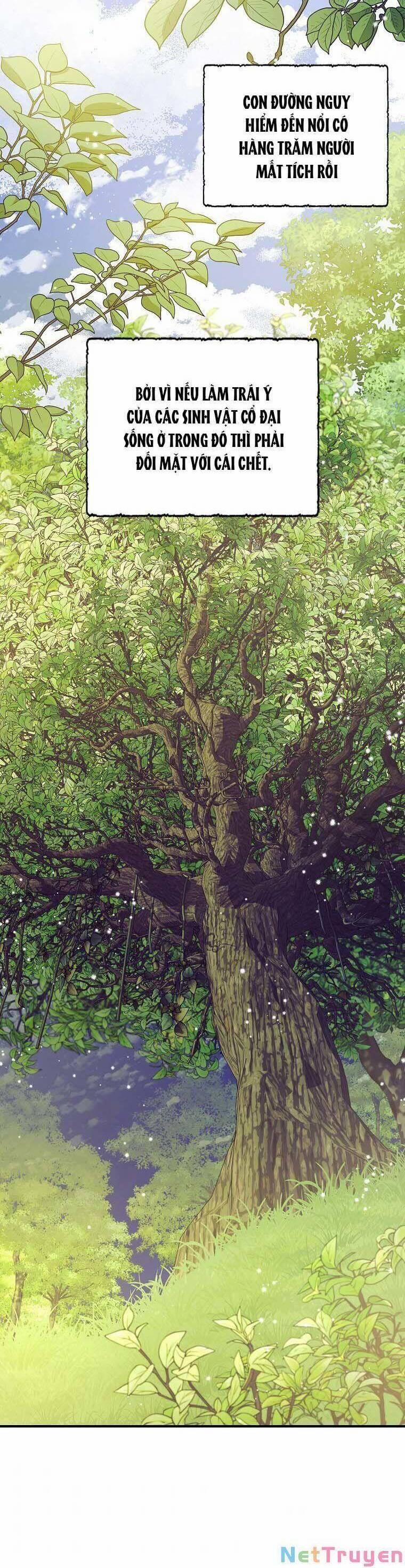 Ba Người Anh Trai Của Tôi Là Bạo Quân 73 trang 17