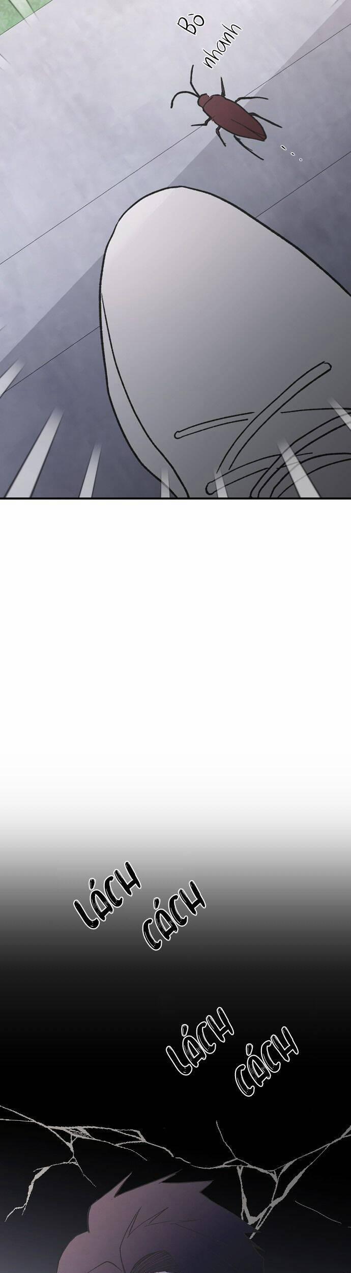 Ba Người Anh Trai 49 trang 60