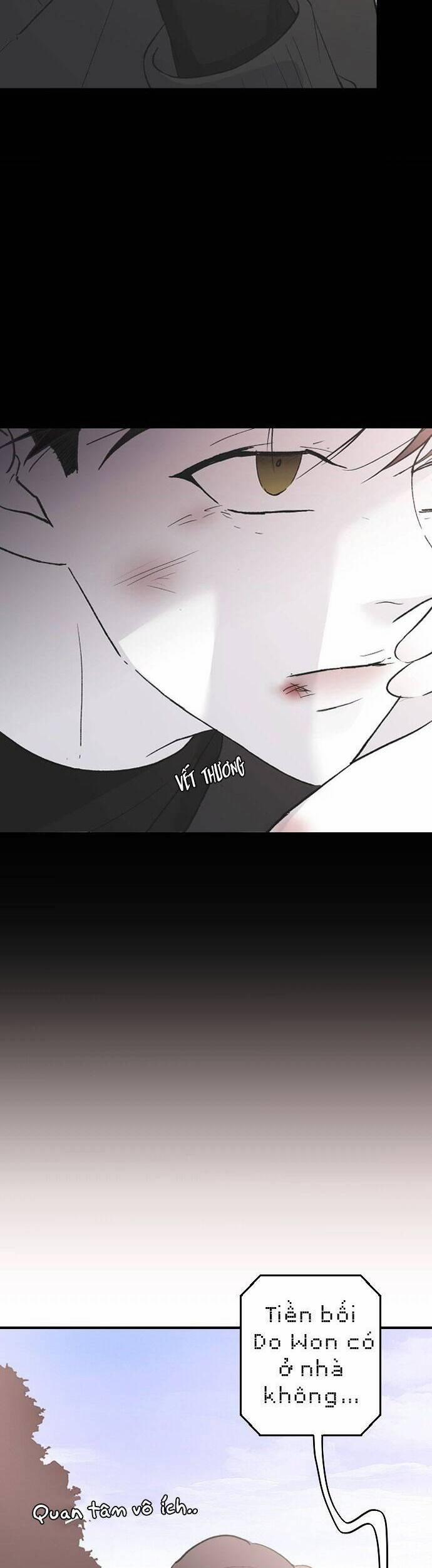 Ba Người Anh Trai 51 trang 5