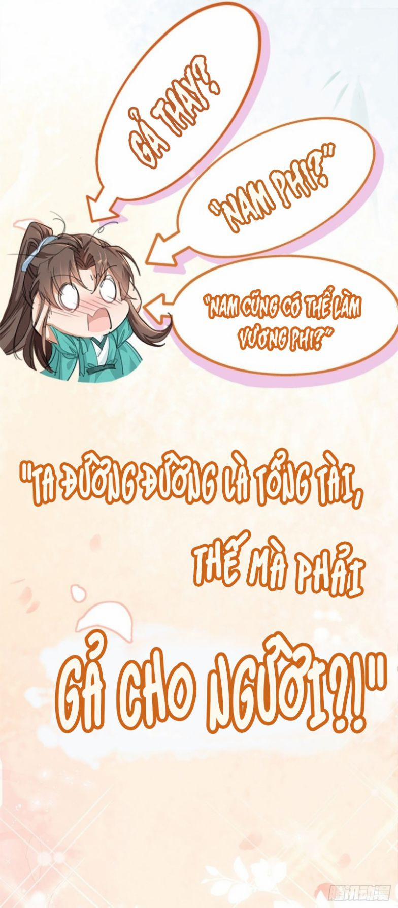 Bá Tổng Vương Phi Lật Xe Chỉ Nam 0 Giới thiệu trang 5