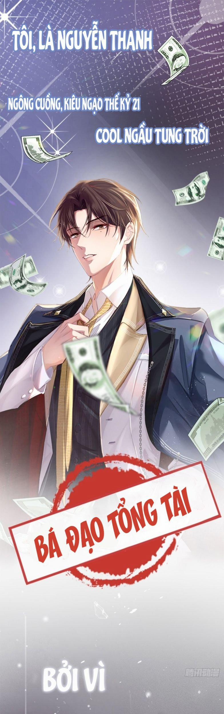 Bá Tổng Vương Phi Lật Xe Chỉ Nam 0 trang 0