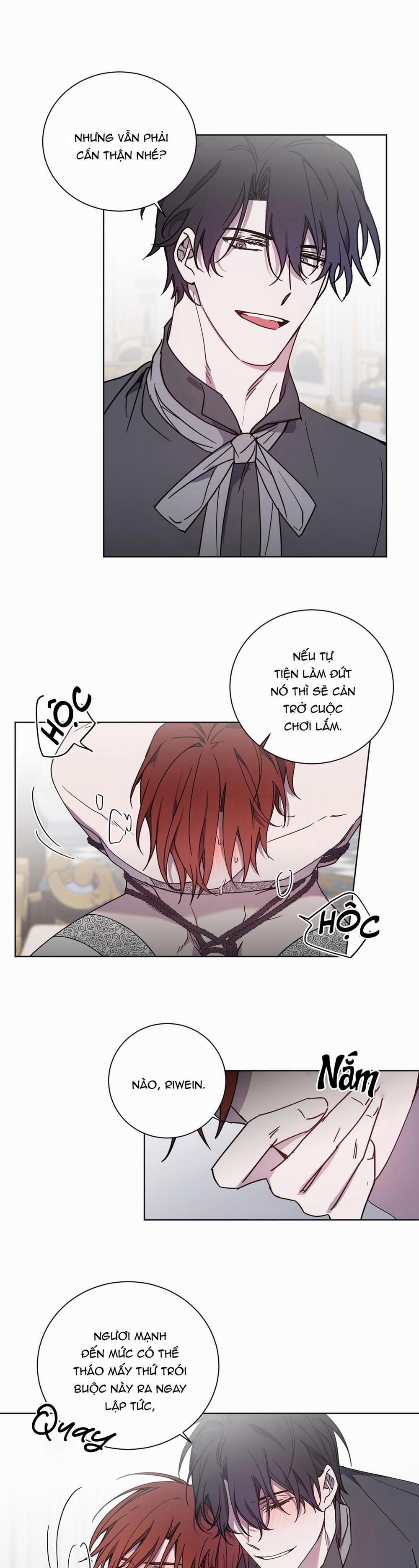 Bá Tước, Yêu Tôi Đi 22 trang 1